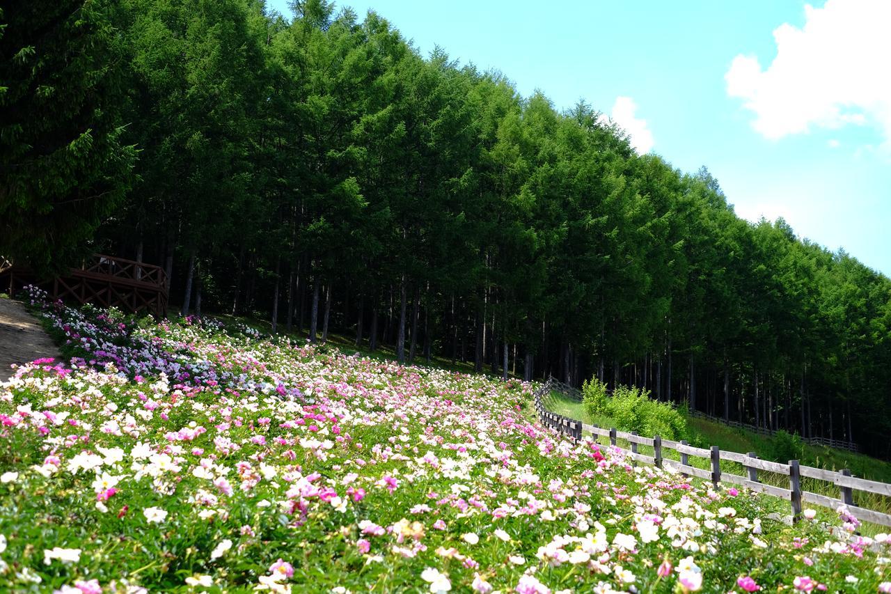 Khaosan Chitose Family Hostel エクステリア 写真